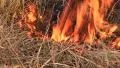 Fire HD Footage