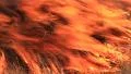 Fire HD Footage