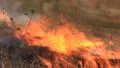 Fire HD Footage