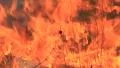 Fire HD Footage