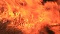 Fire HD Footage