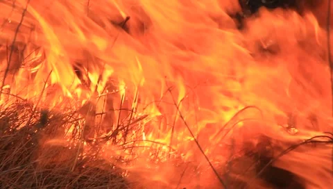 Fire Stock Footage