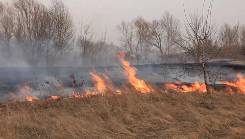 Fire Stock Footage
