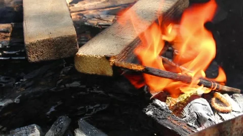 Fire Stock Footage 5062474