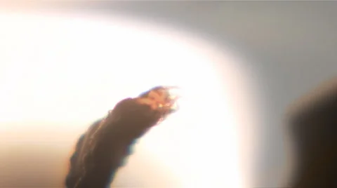 Fire Stock-Footage 5281421