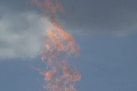 Fire 動画素材 7755341