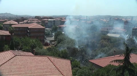 Fire Stock Footage 8835258