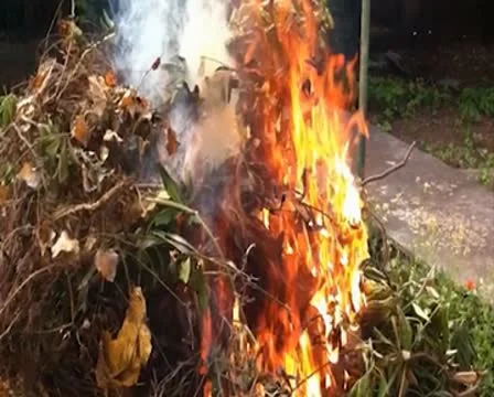 Fire Stock Footage 8847610