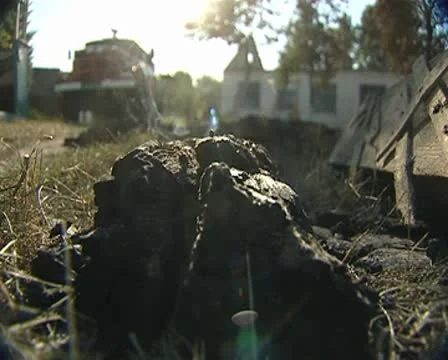 The fire Stock Footage 8849494