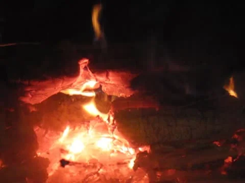 Fire 動画素材 8991242