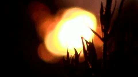 Fire Stock Footage 11234953