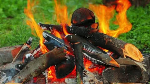 The fire Stock Footage 11960159