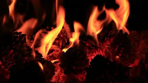 Fire Video stock 12052993