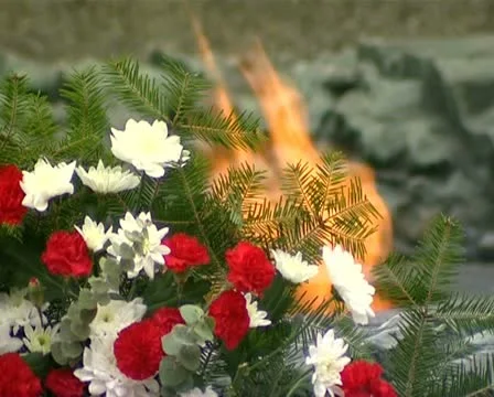 Fire Stock Footage 12520782