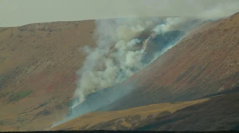 Fire Stock Footage 22281131