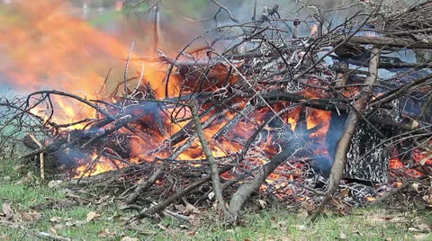 Fire Vídeo Stock 22984901