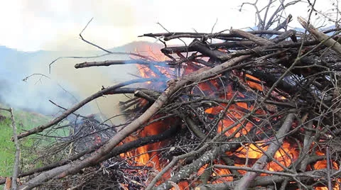 Fire Stock Footage 22986100