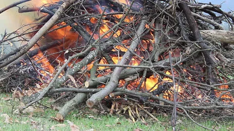 Fire Stock Footage 22990549