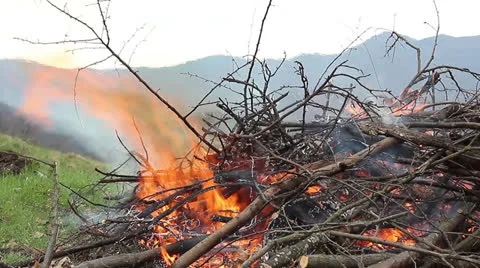 Fire Stock Footage 23127067