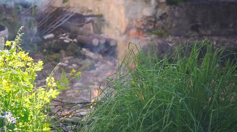 Fire Video stock 23402481