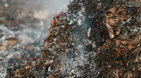 Fire Stock Footage 24374635