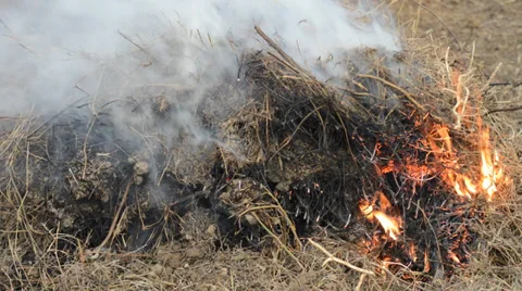 Fire Stock Footage 35176412