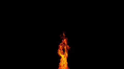 Fire Stock Footage 81499968