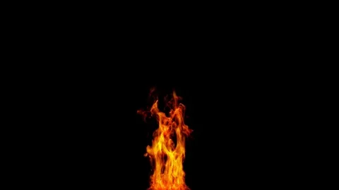 Fire Stock Footage 81500238