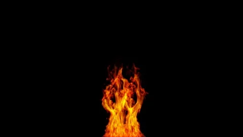 Fire 스톡 동영상 81500637