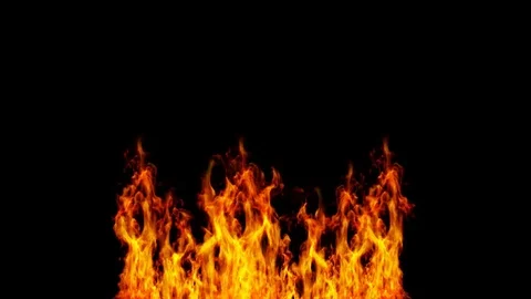 Fire Stock Footage 81505294