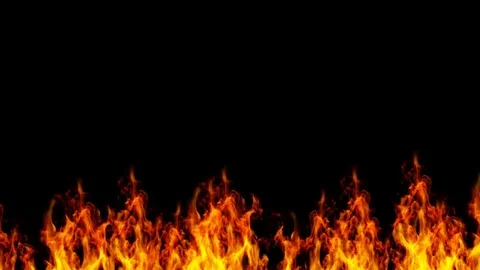 Fire Stock Footage 81506822