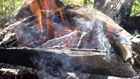 Fire Stock Footage 82537561
