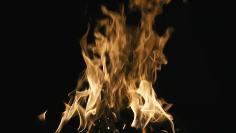 Fire  Stock Footage 86848585