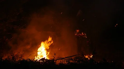 Fire Stock Footage 92058985