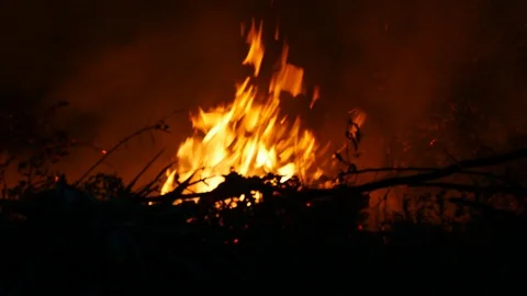 Fire Stock Footage 92059041