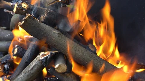 Fire. 스톡 동영상 92922279