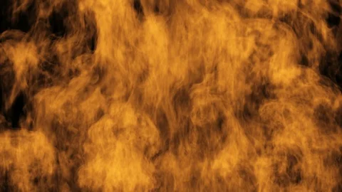 Fire Stock Footage 98555425