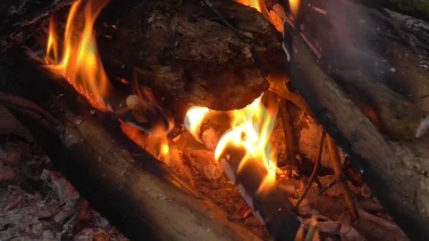 Fire Stock Footage 100451828