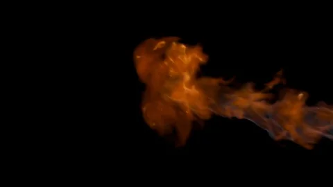 Fire Stock Footage 101014628