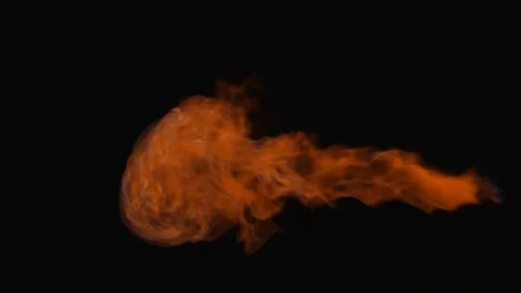 Fire Video stock 102612872