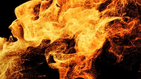 Fire Stock Footage 105002307