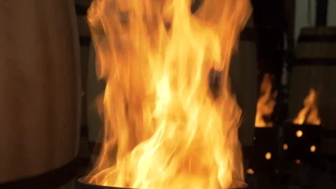 Fire Stock-Footage 119015558