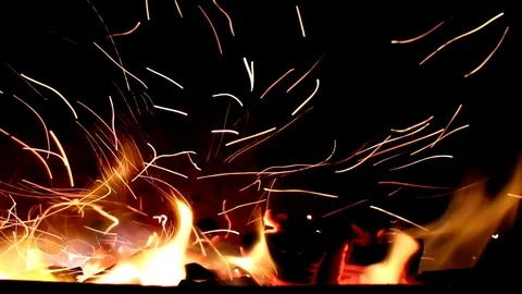 Fire 動画素材 119946678