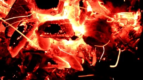 Fire Stock Footage 119946758