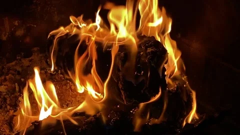 Fire Video stock 145375325