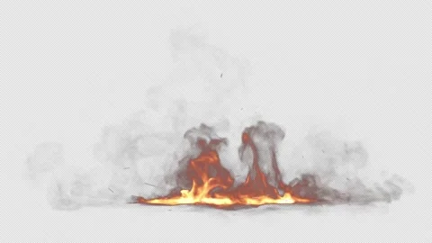 Fire Stock Footage 172347822