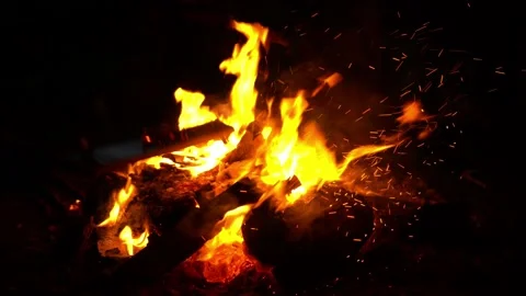 Fire Stock Footage 174875443