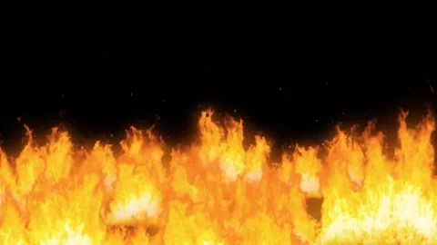 Fire Stock Footage 195734469