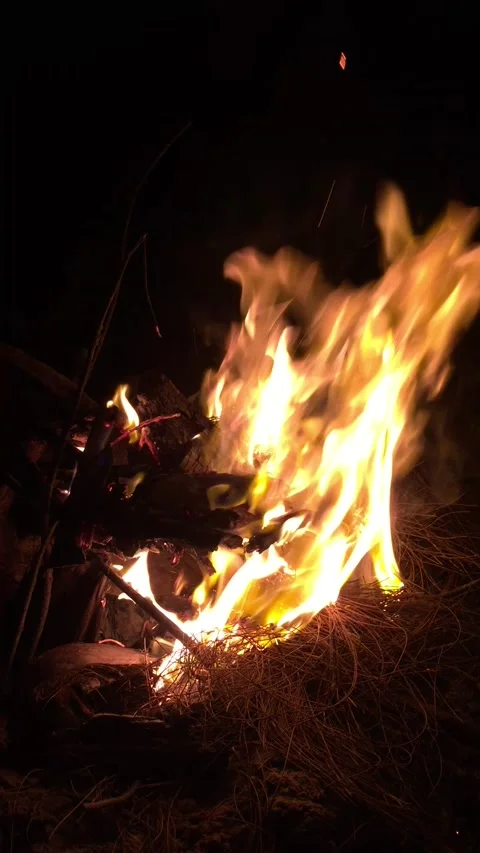 Fire Stock Footage 218368926