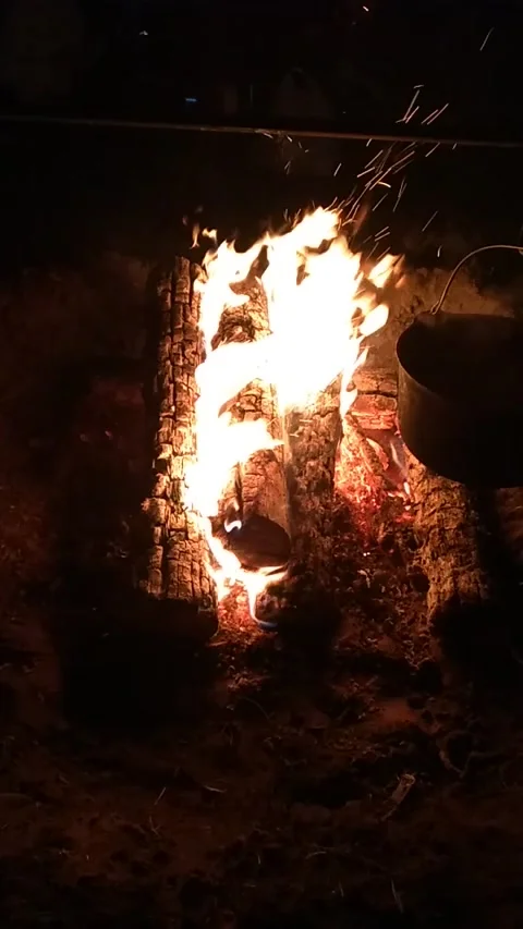 Fire Stock Footage 229709080